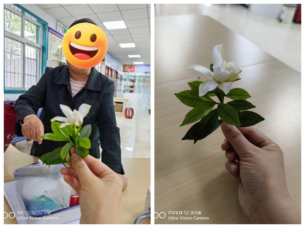 栀子花开暖医心 坚持守护百姓安